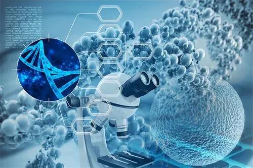 生物技术学什么课程内容