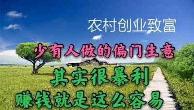 穷疯了快速挣钱的偏门 非常赚钱的偏门生意有哪些