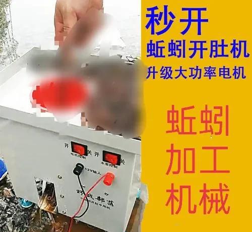 穷疯了快速挣钱的偏门