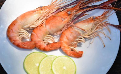 北极虾是生的还是熟的 为什么市场上的北极虾都是熟的