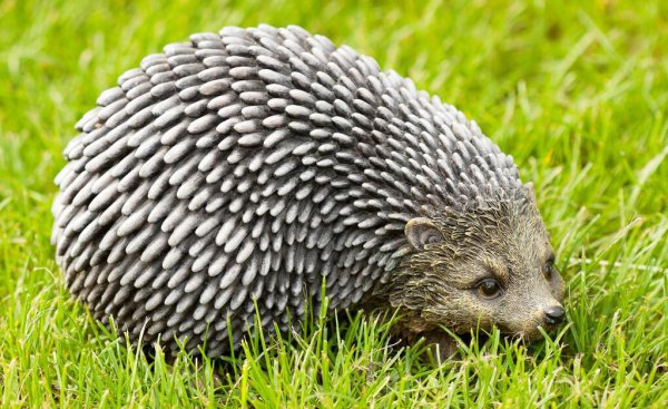 中国允许养的特殊宠物名单