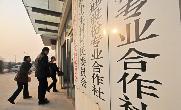 合作社属于什么性质的企业