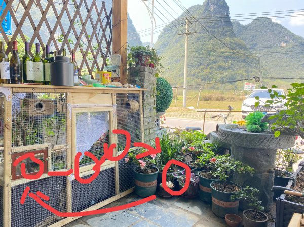 古法养鱼水怎么才会清澈