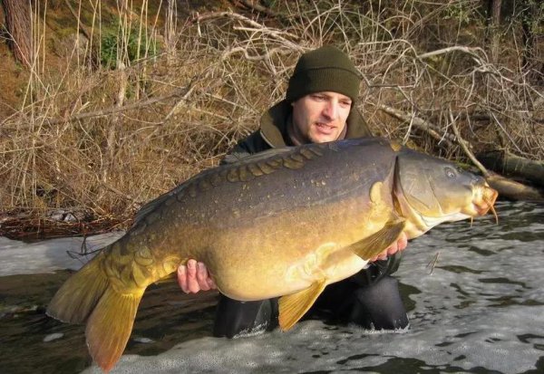 没有鱼鳞的鱼是什么鱼怎么养