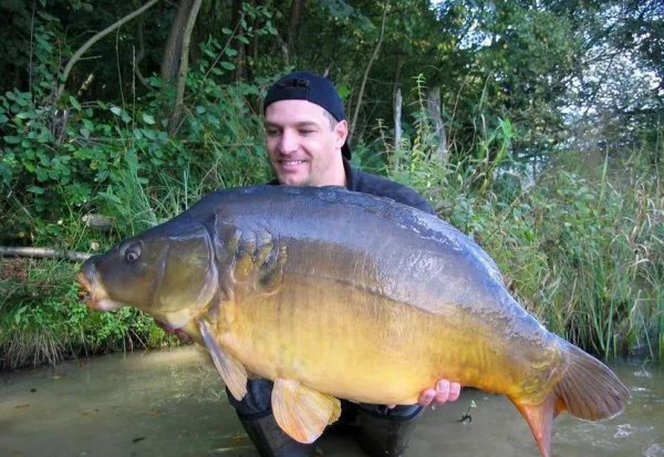 没有鱼鳞的鱼是什么鱼怎么养