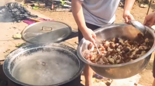 白玉蜗牛养殖回收靠谱吗