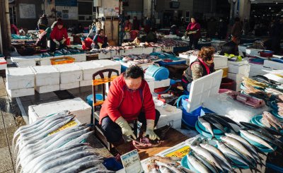 带鱼是海鱼还是淡水鱼 带鱼有深海和浅海带鱼之分吗