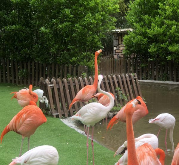 上海有什么著名的景点