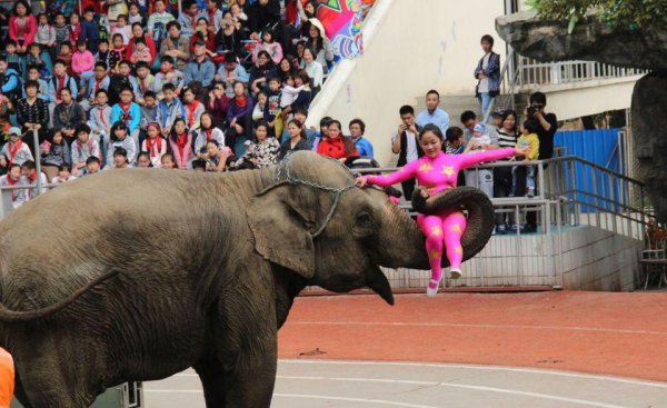 上海有什么著名的景点