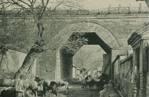 康有为的思想主张有哪些