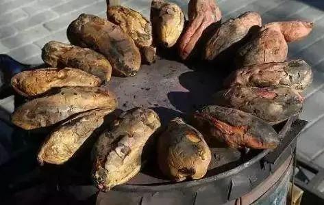 农村干什么行业能挣钱