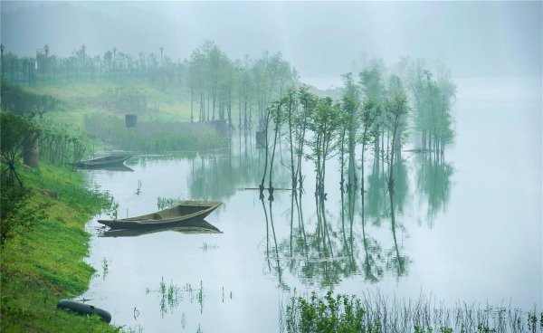 鳊鱼怎么钓用什么饵料
