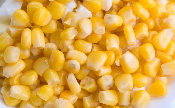 鳊鱼怎么钓用什么饵料