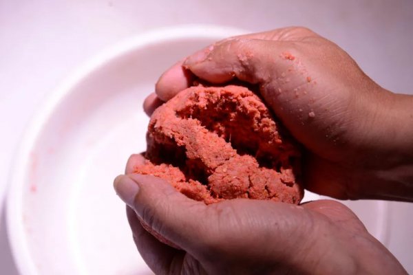 公认钓白条最快的钓法