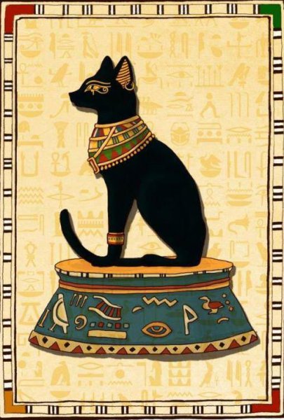 家里来黑猫预示什么风水