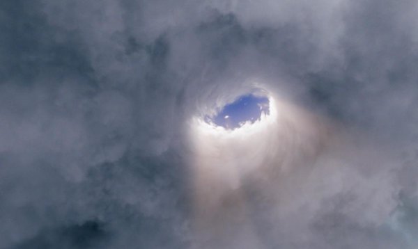 王仙芝为什么杀徐凤年