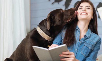 女士养公犬的目的有哪些 养公犬的七大优势分别是什么