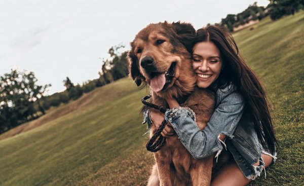 女士养公犬的目的有哪些