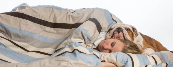 女士养公犬的目的有哪些