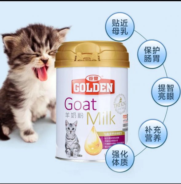 小猫什么时候睁眼