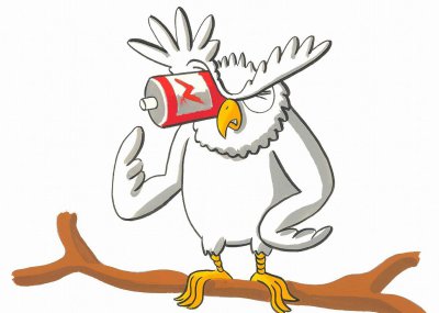 猫头鹰吃什么食物为主 猫头鹰为什么这么喜欢吃老鼠