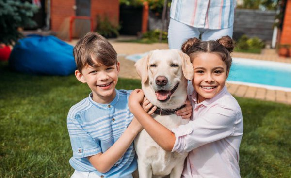 养什么狗好适合家养