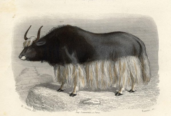 对牛弹琴的主人公是谁