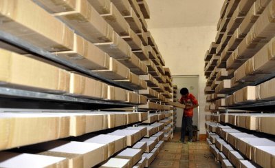 黄粉虫养殖技术与利润 黄粉虫的养殖方向和利润怎样