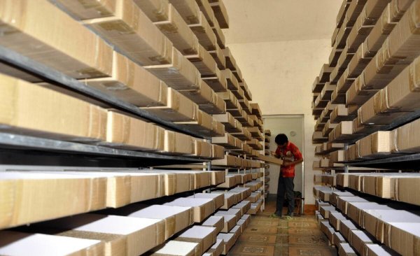 黄粉虫养殖技术与利润