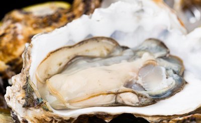 生蚝的做法蒸几分钟 食用生蚝蒸多长时间口感最好