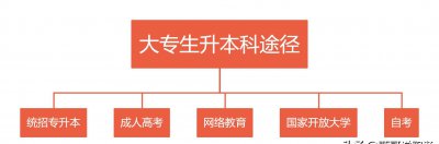 专科升本科有几种途径 大专学历提升本科有几种方式