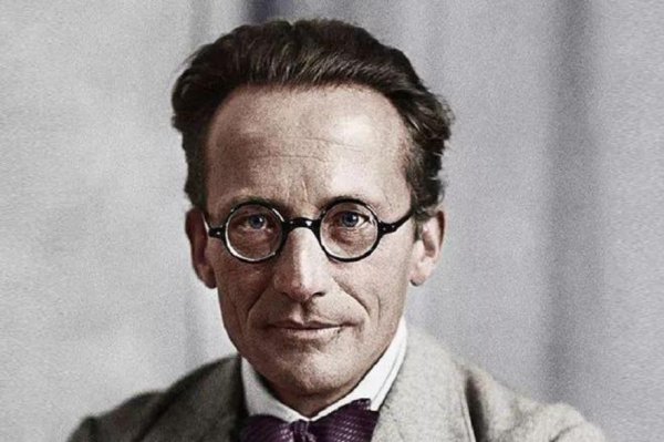 薛定谔的猫为什么恐怖