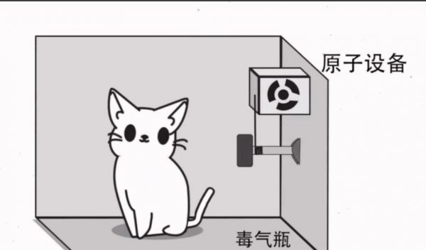 薛定谔的猫为什么恐怖