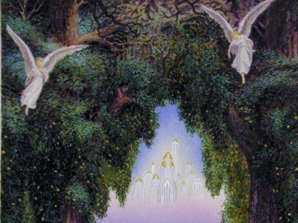 薛定谔的猫为什么恐怖