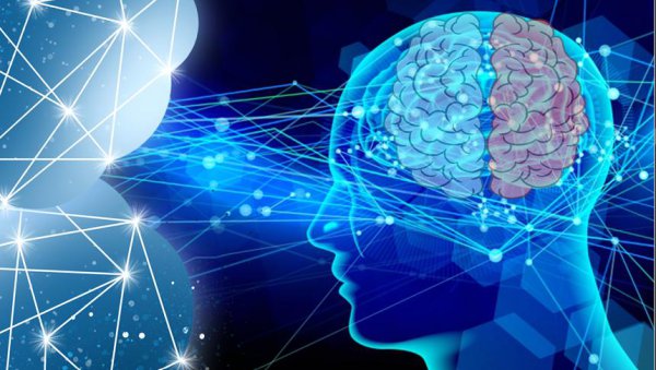 薛定谔的猫为什么恐怖