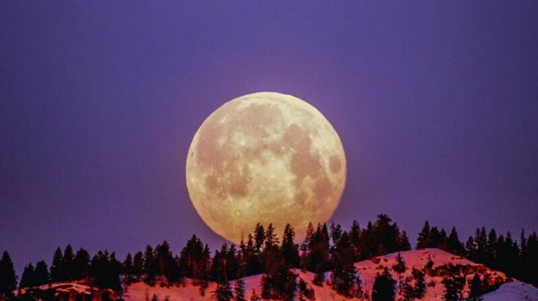 薛定谔的猫为什么恐怖