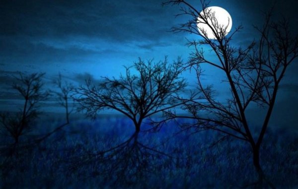 薛定谔的猫为什么恐怖