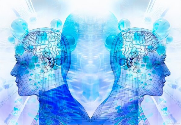 左右脑分别控制什么功能