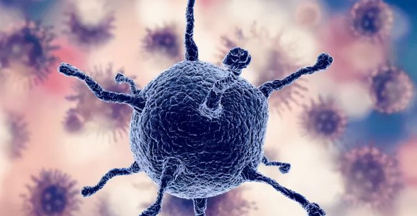 钉螺是淡水还是海水