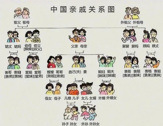 舅舅与外甥是什么亲属关系