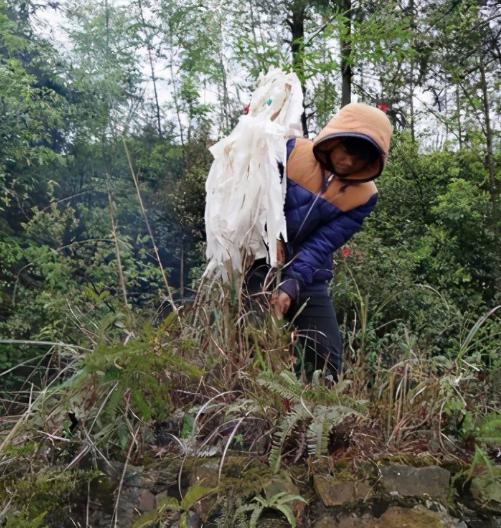 清明前一天能上坟吗