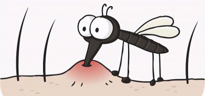 户外蚊子怕什么味道不敢来 蚊子最喜欢的是什么味道