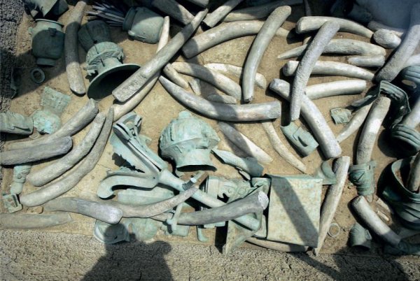 三星堆是哪个朝代的