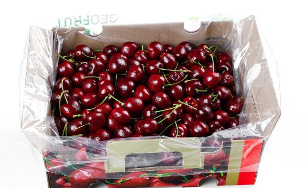 车厘子能放多久