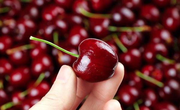 车厘子能放多久