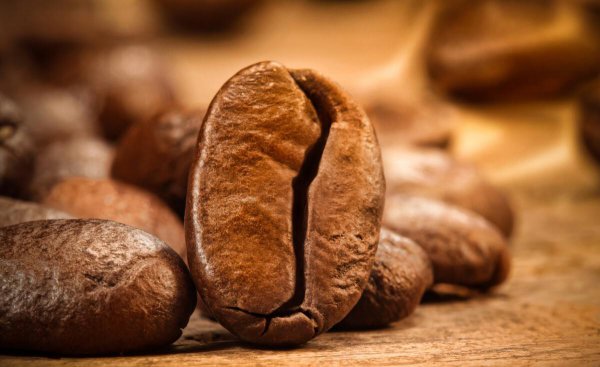 可可豆和咖啡豆的区别