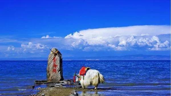 中国的四大海是哪四个