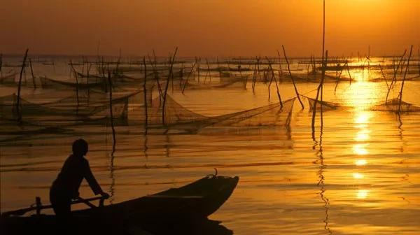 中国的四大海是哪四个