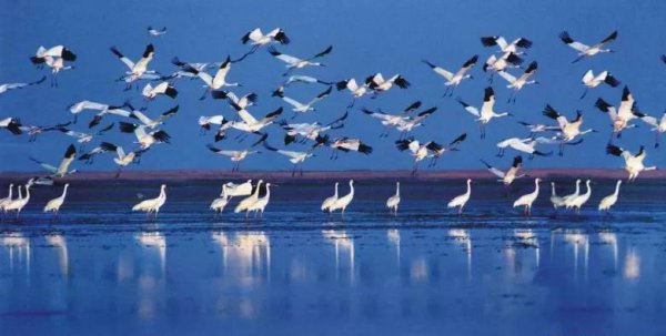 中国的四大海是哪四个