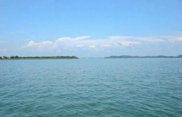 中国的四大海是哪四个